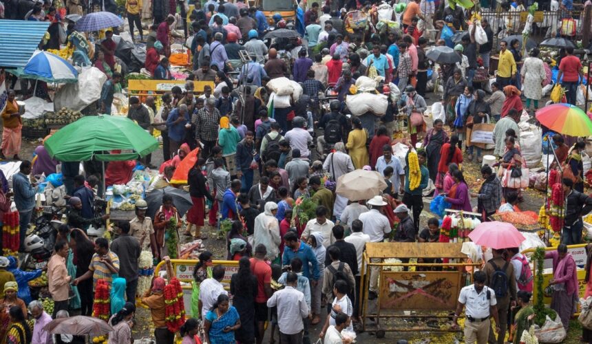 La population mondiale dépasse les 8 milliards d’habitants