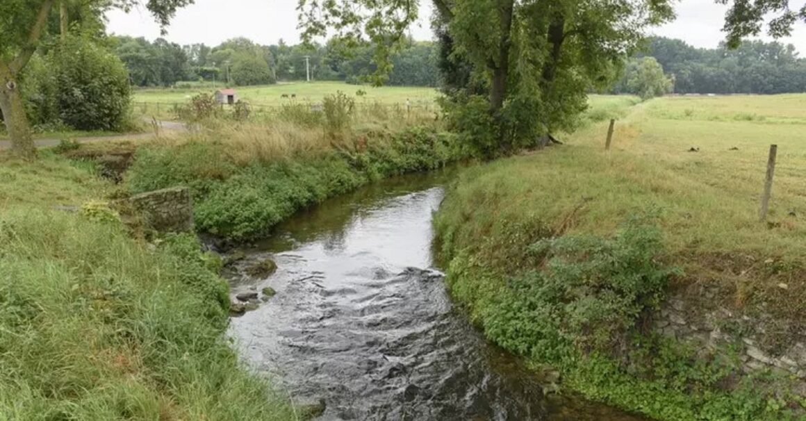 Milieu naturel photo illustration Milieu naturel photo illustration