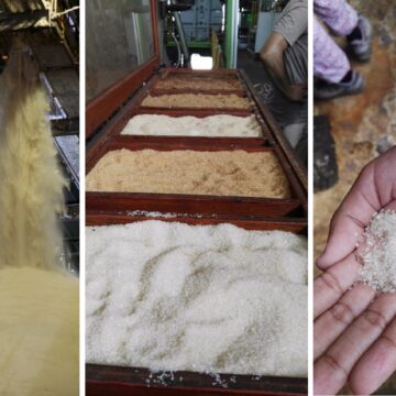 Photo d'illustration usine sucre de canne Photo d'illustration usine sucre de canne