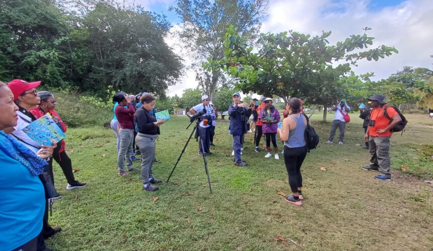 Dimanche 3 mars 2024, de 7h à 9h30, une sortie ornithologique à Babin, Morne-à-l’Eau, a rassemblé 32 passionnés de la nature. Photo : FB Ville de Morne à l'eau