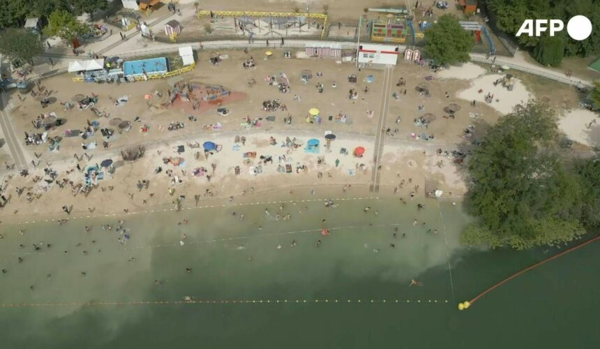 Paris 2024 : La quête de baignade dans la Seine