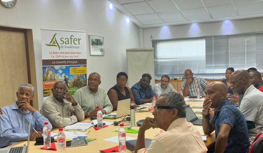 Comité technique Safer qui statue sur l’attribution des terrains agricoles, ici réunion de juin 2024. Photo : Safer Guadeloupe