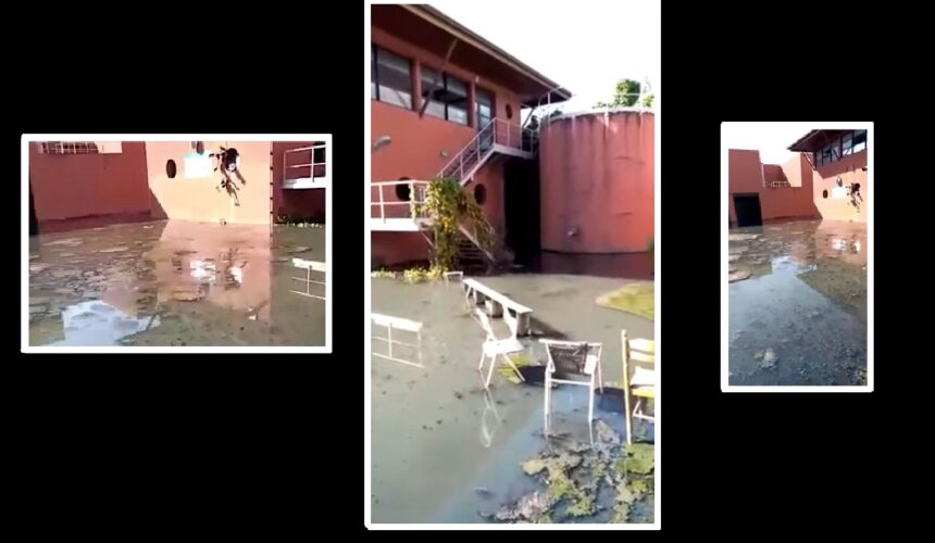 Construite en 2013 pour un coût de 13 millions d’euros, la station d’épuration de Capesterre-Belle-Eau n’a jamais fonctionné. Photo : DR