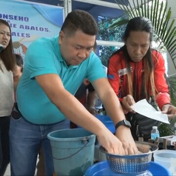 Des habitants de Manille aux Philippines, où le nombre de cas de dengue augmente, ont fait la queue ce mercredi 19 février pour récolter une prime. Photo : capture reportage AFP