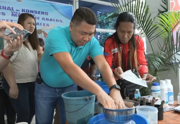 Des habitants de Manille aux Philippines, où le nombre de cas de dengue augmente, ont fait la queue ce mercredi 19 février pour récolter une prime. Photo : capture reportage AFP