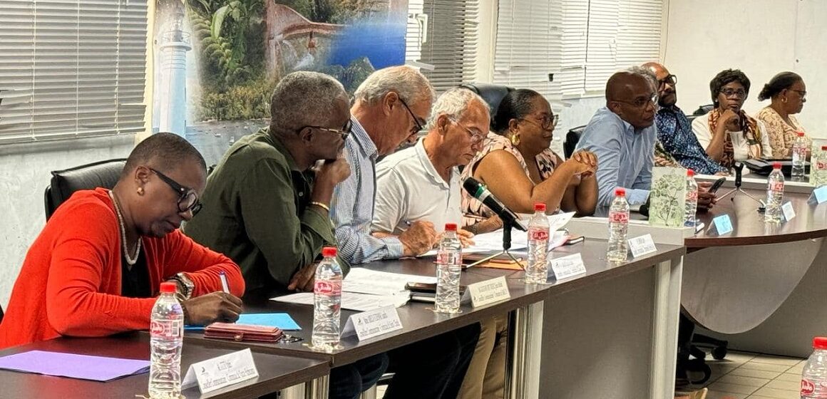 Grand Sud Caraïbes valide Saulchoir, un dirigeant qui a échoué mais qui monte