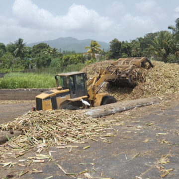 Manutention de la canne-à-sucre livrée à l'usine sucrerie de Gardel, Le Moule. Manutention de la canne-à-sucre livrée à l'usine sucrerie de Gardel, Le Moule.