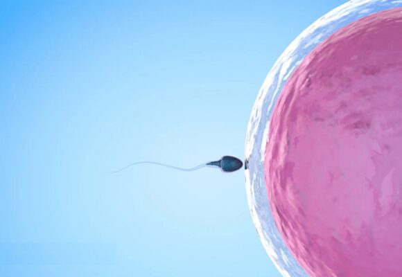 Photo d'illustration natalité