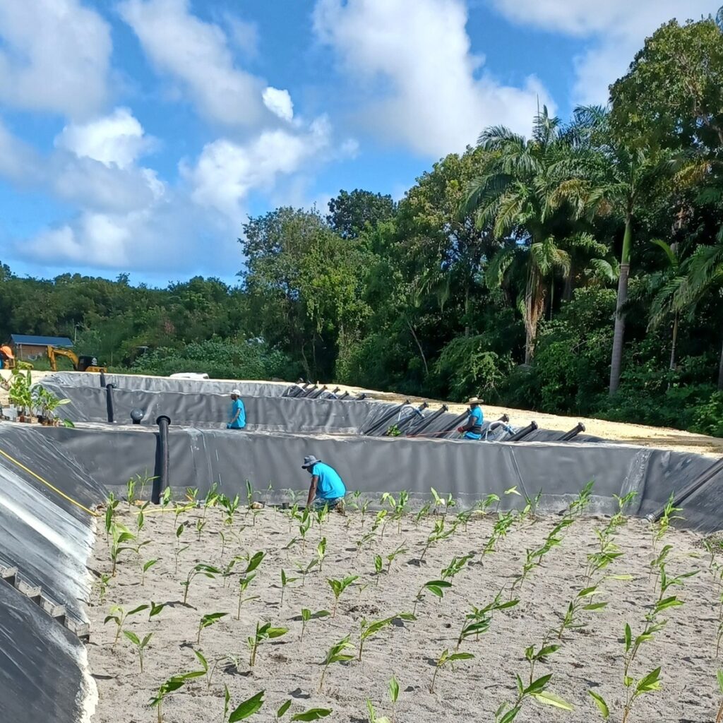 La station d'épuration de Folle Anse à Marie-Galante en cours de finalisation, lors de la visite du 16 janvier. Coût des travaux : 4,5 millions d'euros. Photo : Préfecture de Guadeloupe