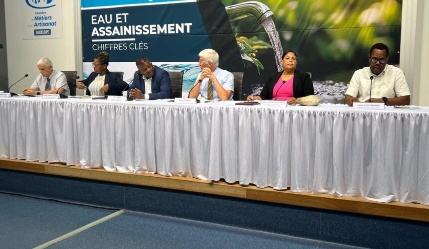 La délégation qui a présenté les « chiffres de l'eau » de l’année 2023. De droite à gauche : Patrick Saint-Martin (ARS), Sylvie Gustave dit Duflot (Région/OFB), Thierry Devimeux (préfet), Guy Losbar (Département), Isabelle Amirail-Jomie (Office de l'eau) et Dominique Laban (Smgeag). C'est le préfet qui a livré le diagnostic le plus sévère. Photo : Le Courrier de Guadeloupe