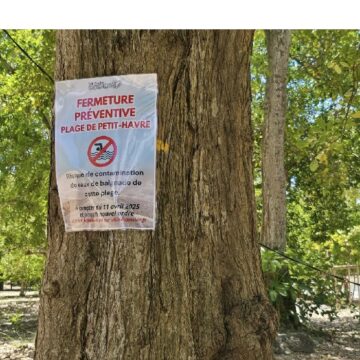 Le panneau de fermeture de la plage de Petit-Havre au au Gosier, en avril 2025. La baignade y a été interdite en raison d'une pollution liée au dysfonctionnement de l'assainissement. Photo : Ici le Gosier