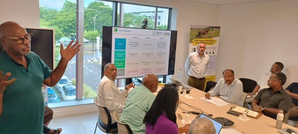 Réunion de présentation des recommandations de l’étude sur la réorganisation de la filière canne au CTIG à Dothémare aux Abymes le 11 février 2026. Photo : DR